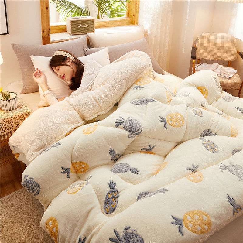 Winter Thick Lamb Velvet Quilt – Warm Double Quilt Core for Dormitory and  Home